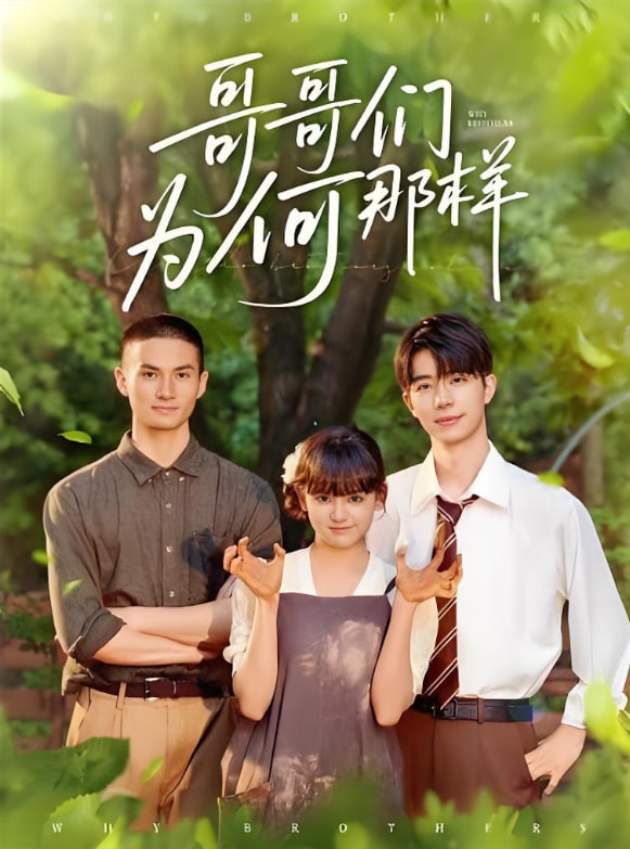 哥哥们为何对我那样