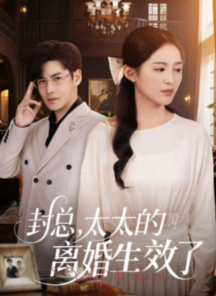 封总，太太的离婚生效了