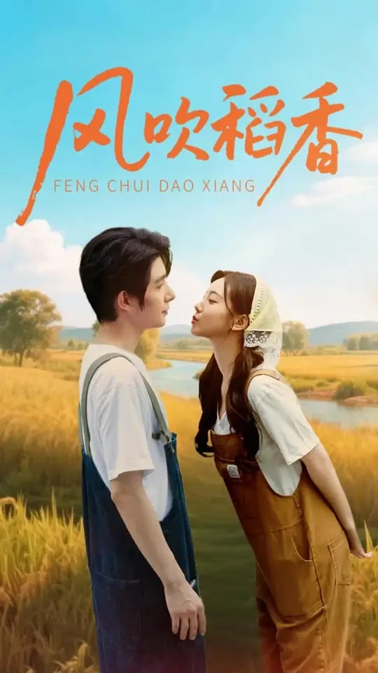 风吹稻香