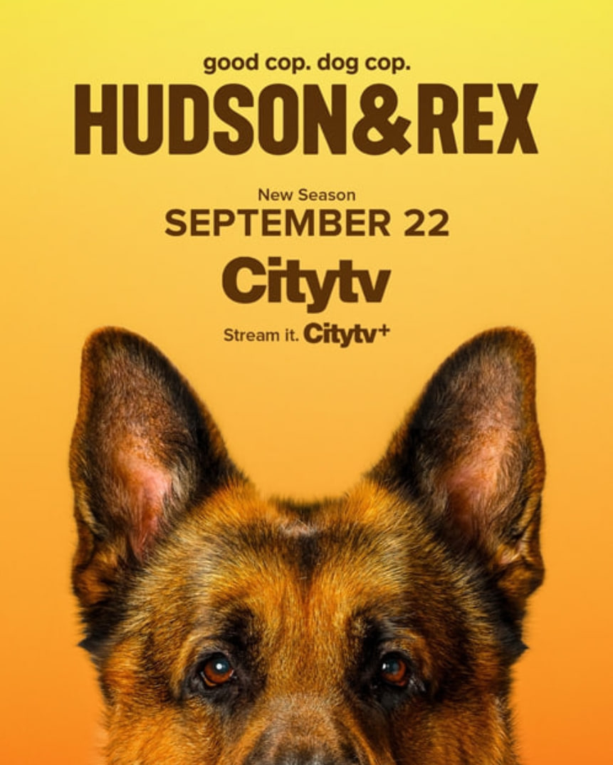 哈德森与雷克斯 第八季