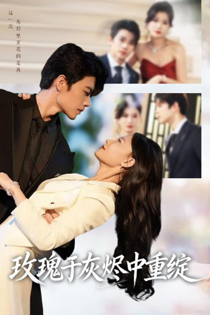 玫瑰于灰烬中重绽